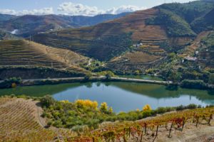 wine estate, winery, vineyard, Douro River, Portugal wine estate, winery, vineyard, Douro River, Portugal